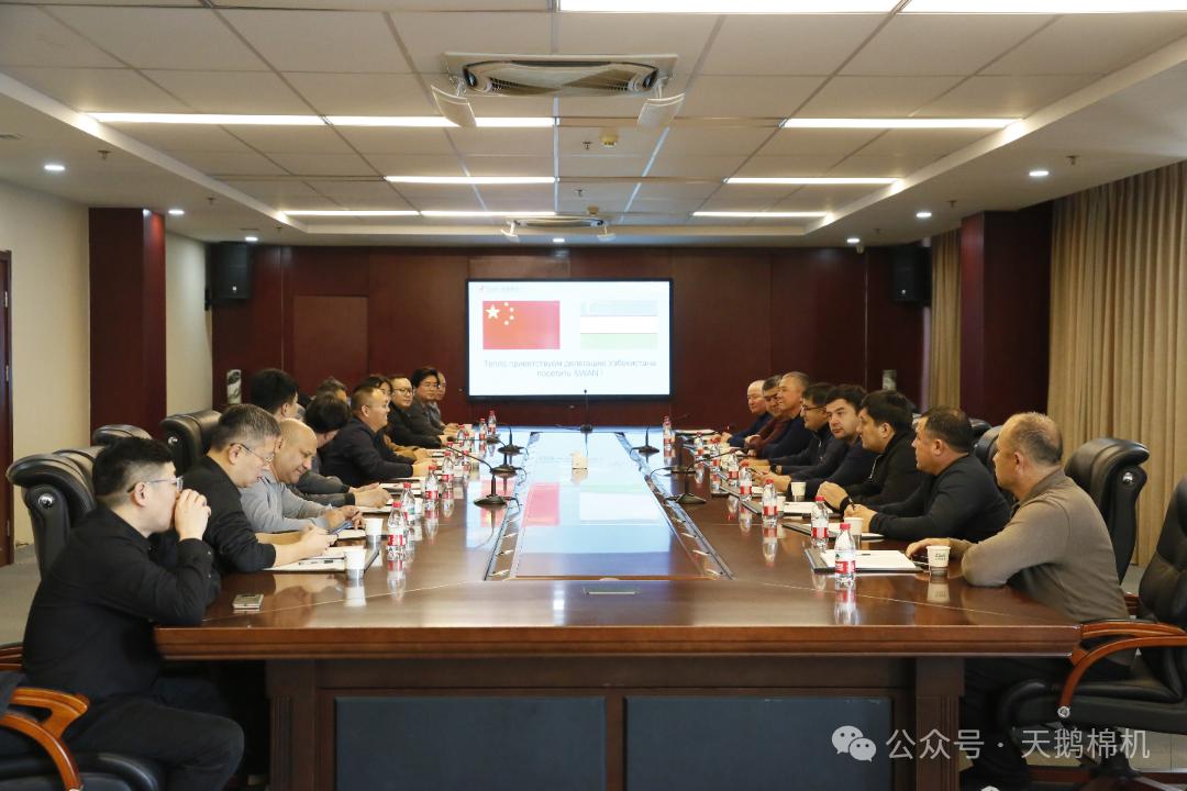 1767923068580886.jpg 图片4.jpg